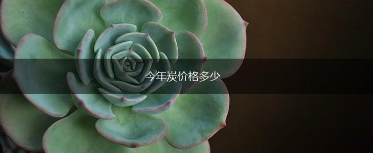 今年炭价格多少,第1张