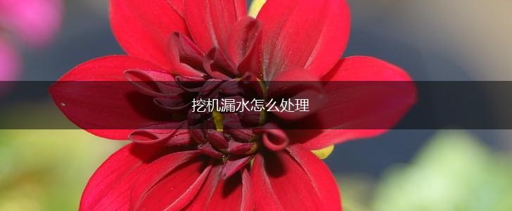 挖机漏水怎么处理,第1张