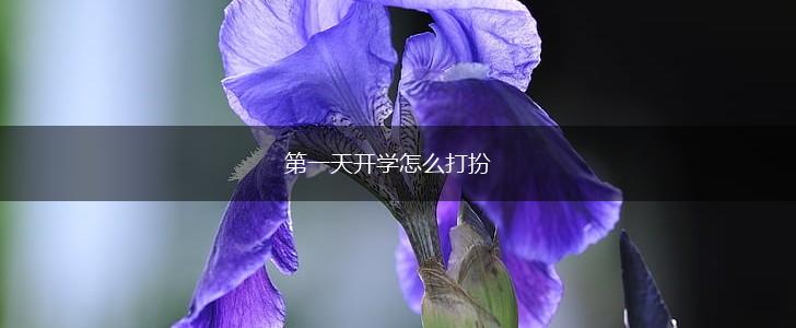 第一天开学怎么打扮,第1张