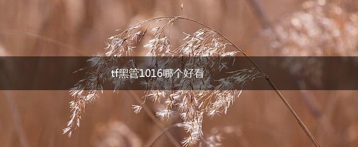 tf黑管1016哪个好看,第1张