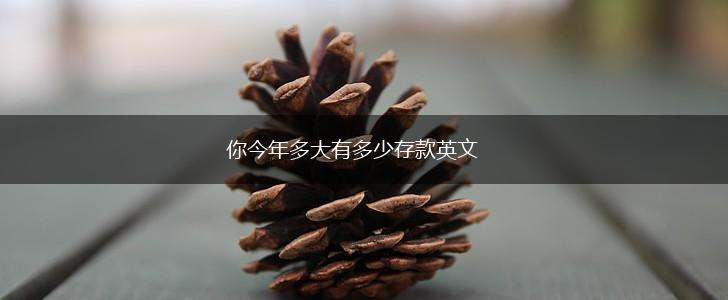 你今年多大有多少存款英文,第1张