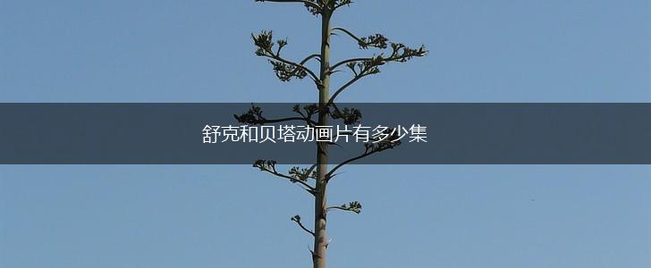 舒克和贝塔动画片有多少集,第1张