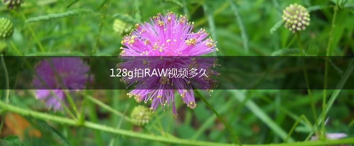 128g拍RAW视频多久,第1张