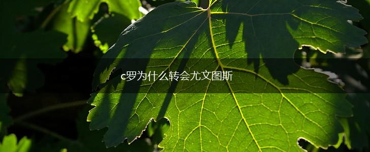 c罗为什么转会尤文图斯,第1张