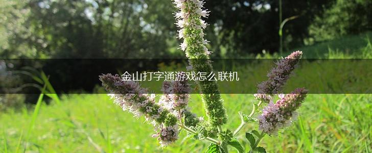 金山打字通游戏怎么联机,第1张