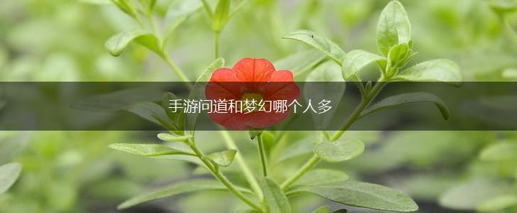 手游问道和梦幻哪个人多,第1张