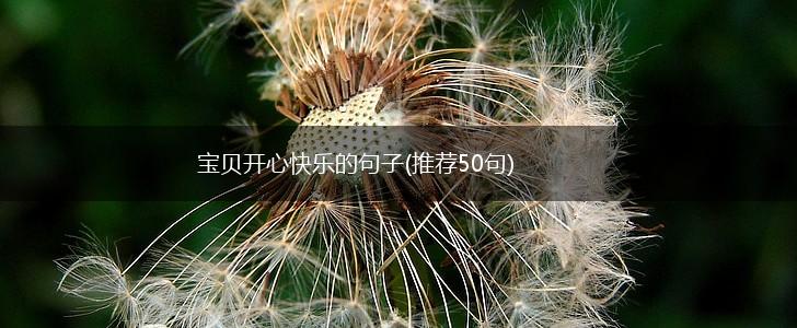 宝贝开心快乐的句子(推荐50句),第1张