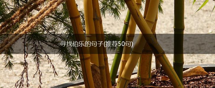 寻找伯乐的句子(推荐50句),第1张