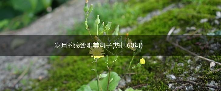 岁月的痕迹唯美句子(热门60句),第1张
