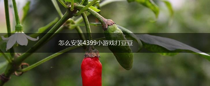 怎么安装4399小游戏打豆豆,第1张
