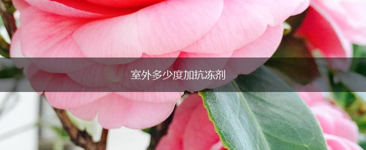 室外多少度加抗冻剂,第1张