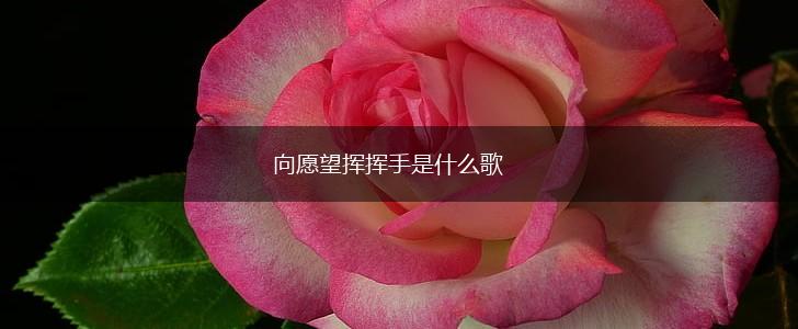 向愿望挥挥手是什么歌,第1张