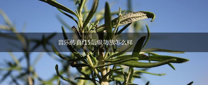音乐传真f15后级功放怎么样,第1张