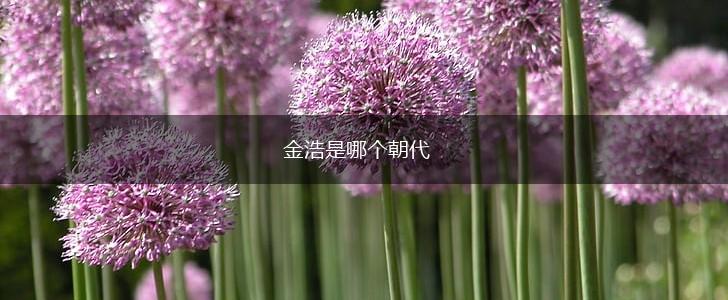 金浩是哪个朝代,第1张