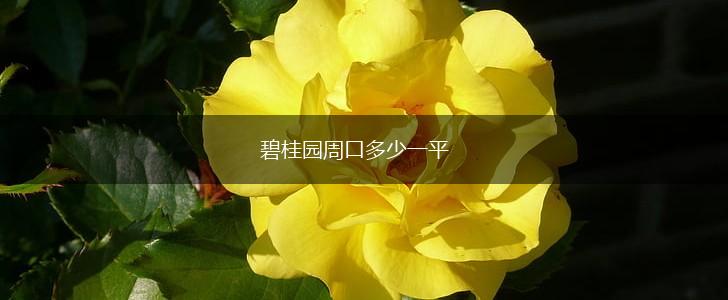 碧桂园周口多少一平,第1张
