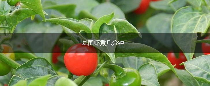 基围虾煮几分钟,第1张