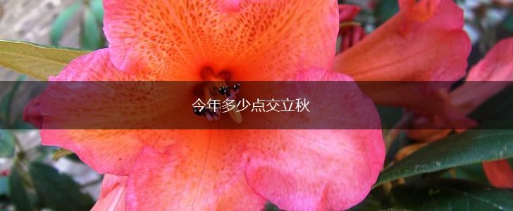 今年多少点交立秋,第1张