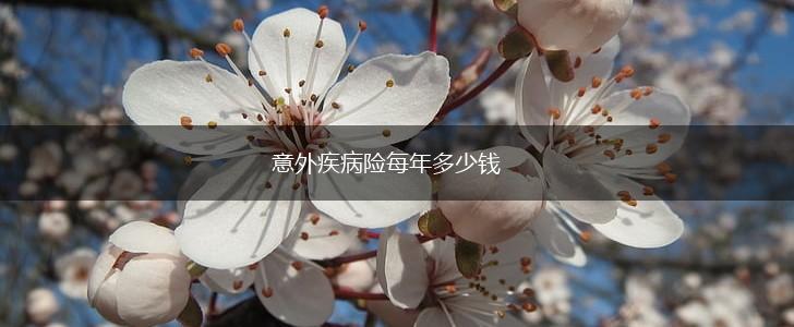意外疾病险每年多少钱,第1张