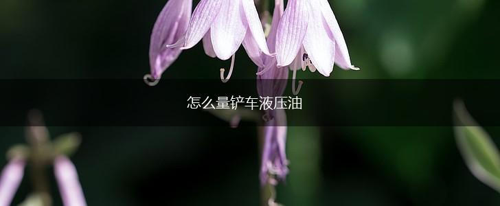 怎么量铲车液压油,第1张