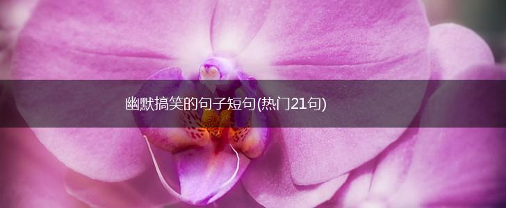 幽默搞笑的句子短句(热门21句),第1张