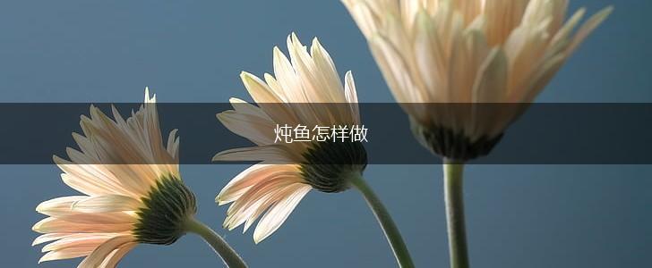 炖鱼怎样做,第1张