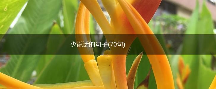 少说话的句子(70句),第1张