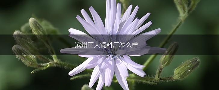 滨州正大饲料厂怎么样,第1张