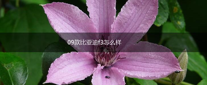 09款比亚迪f3怎么样,第1张