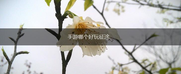手游哪个好玩征途,第1张