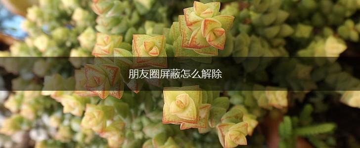 朋友圈屏蔽怎么解除,第1张