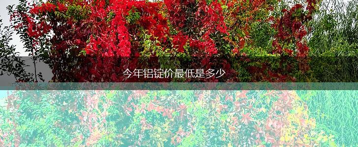 今年铝锭价最低是多少,第1张