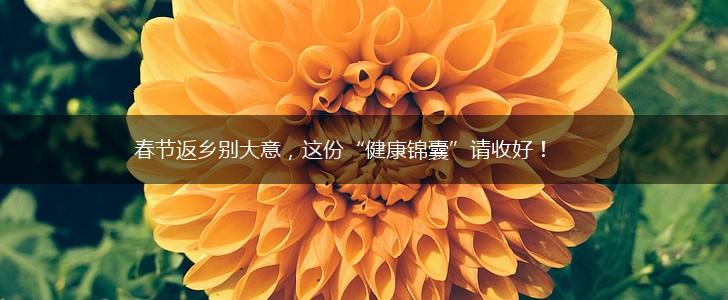 春节返乡别大意，这份“健康锦囊”请收好！,第1张