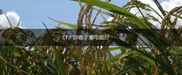 Cf手游哪个紫电最好,第1张