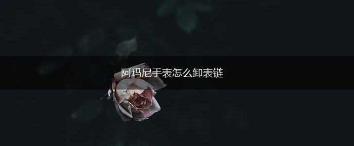 阿玛尼手表怎么卸表链,第1张