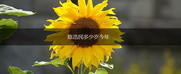 陈浩民多少岁今年,第1张