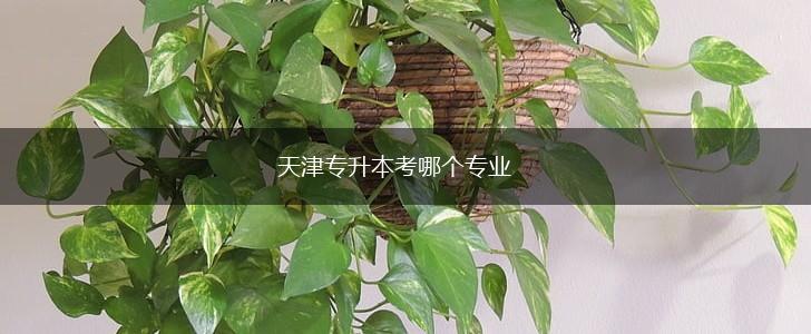 天津专升本考哪个专业,第1张