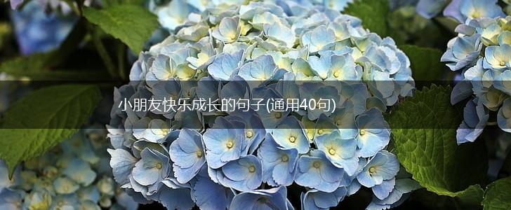 小朋友快乐成长的句子(通用40句),第1张