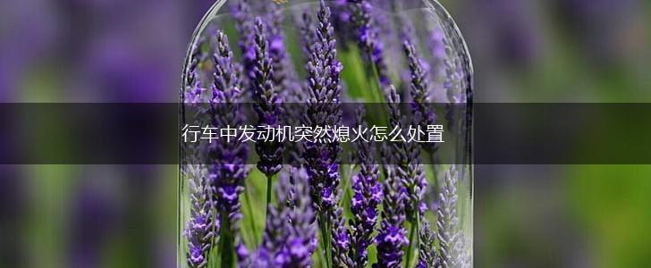 行车中发动机突然熄火怎么处置,第1张