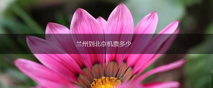 兰州到北京机票多少,第1张