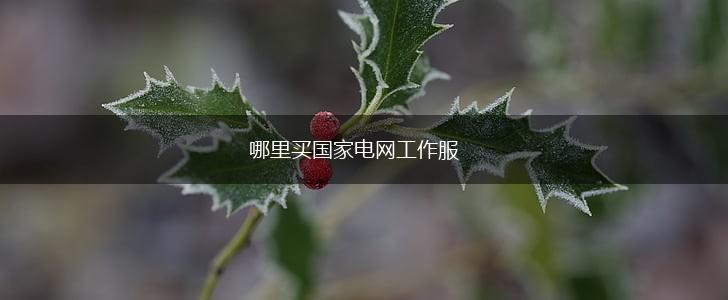 哪里买国家电网工作服,第1张