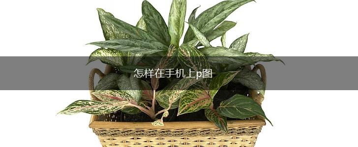 怎样在手机上p图,第1张