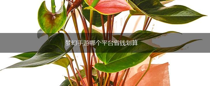 梦幻手游哪个平台省钱划算,第1张