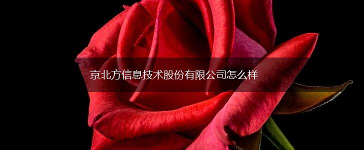 京北方信息技术股份有限公司怎么样,第1张