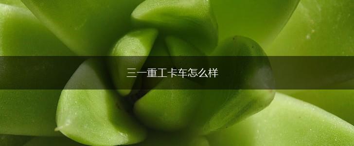三一重工卡车怎么样,第1张