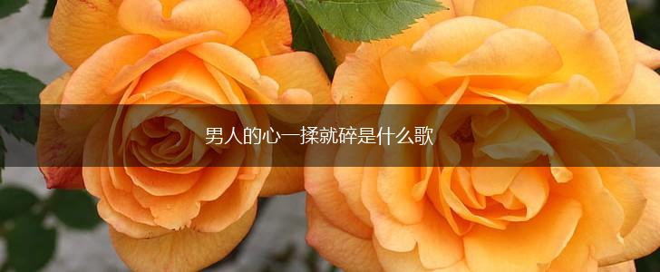 男人的心一揉就碎是什么歌,第1张