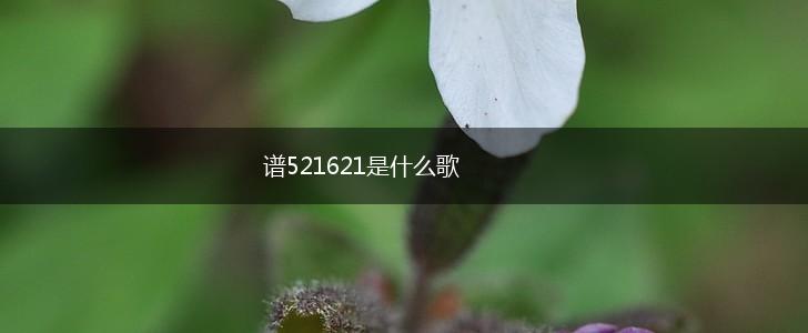 谱521621是什么歌,第1张