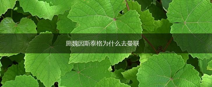 施魏因斯泰格为什么去曼联,第1张