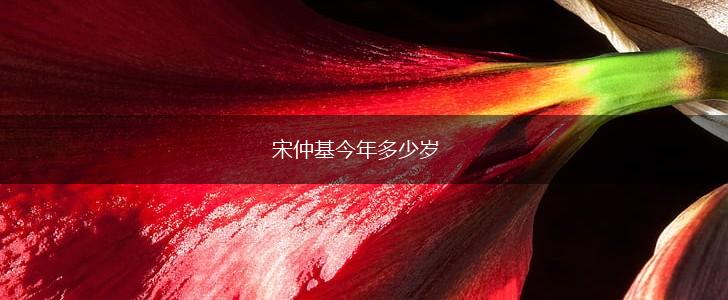 宋仲基今年多少岁,第1张