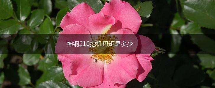 神钢210挖机扭矩是多少,第1张