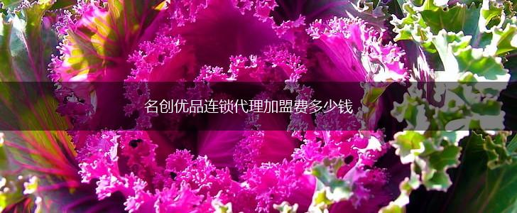 名创优品连锁代理加盟费多少钱,第1张